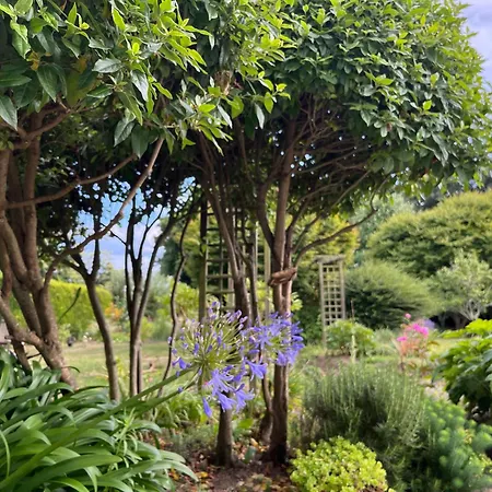 Cosy Sur Jardin * Moelan-sur-Mer